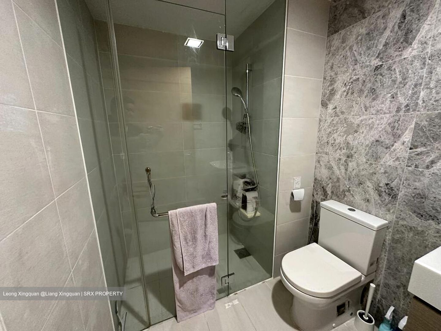 The Lakefront Residences (D22), Condominium #510553971